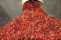 /album/www-kqe-ch/a11111-jpg/